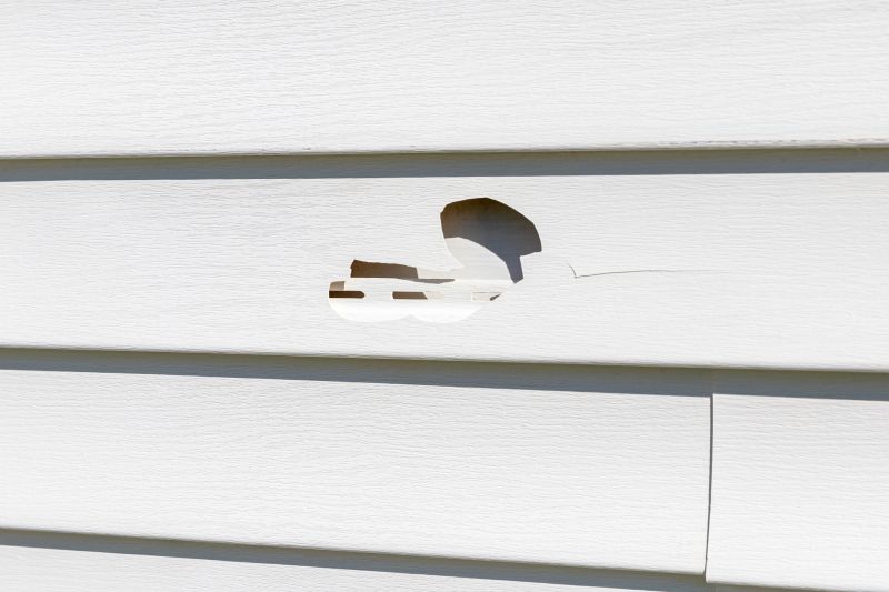 Experienced Siding Repair Specialist